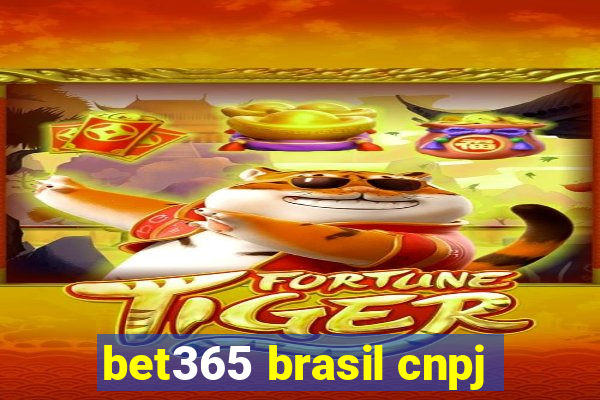 bet365 brasil cnpj